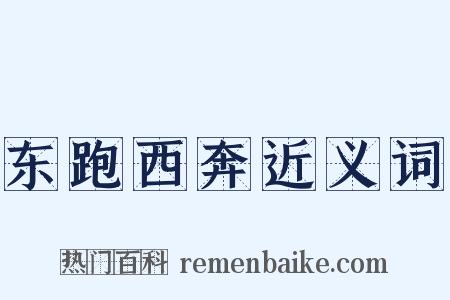 东跑西奔近义词是什么意思的图片